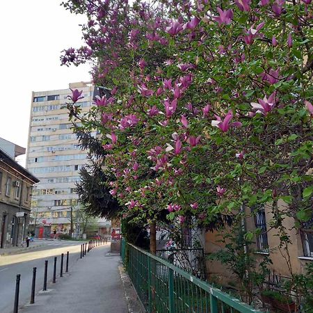 Hansa Apartment Sarajevo Exterior foto
